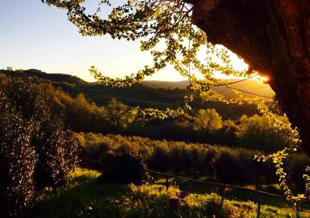 Vila Podere Le Corone Monte Castello di Vibio Exteriér fotografie