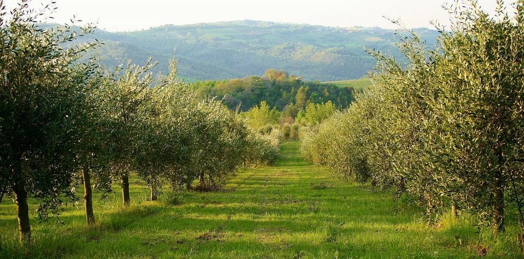 Vila Podere Le Corone Monte Castello di Vibio Exteriér fotografie